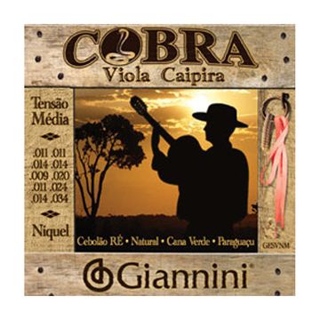 Encordoamento Giannini GESVL Viola