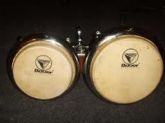 Bongo Bauer